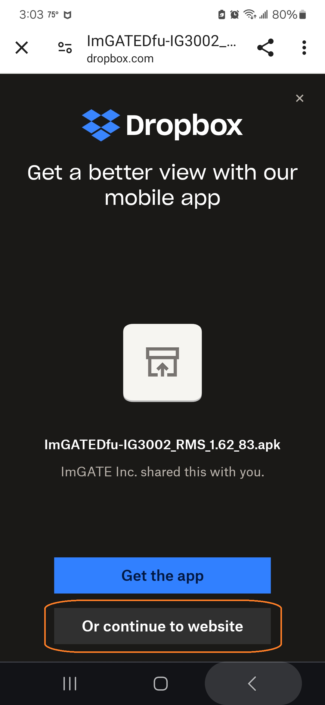 ig1.png