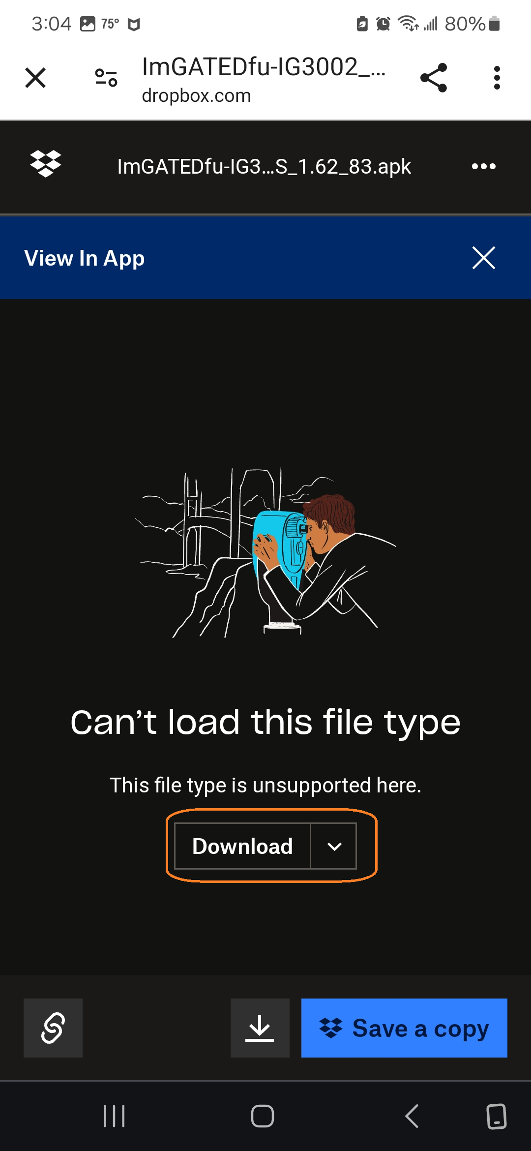 ig2.png
